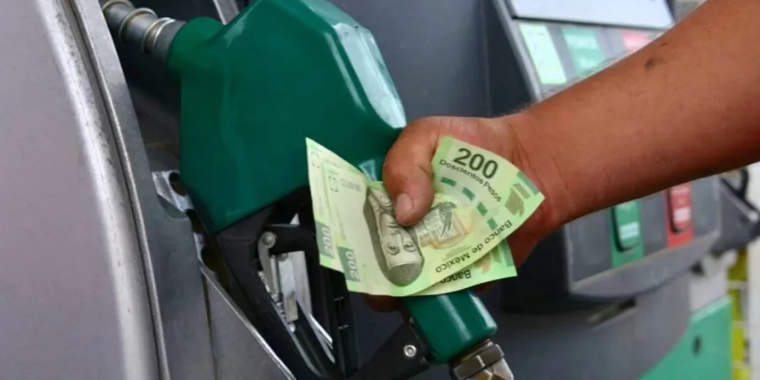 ¿Cuánto dinero gastamos en combustible?