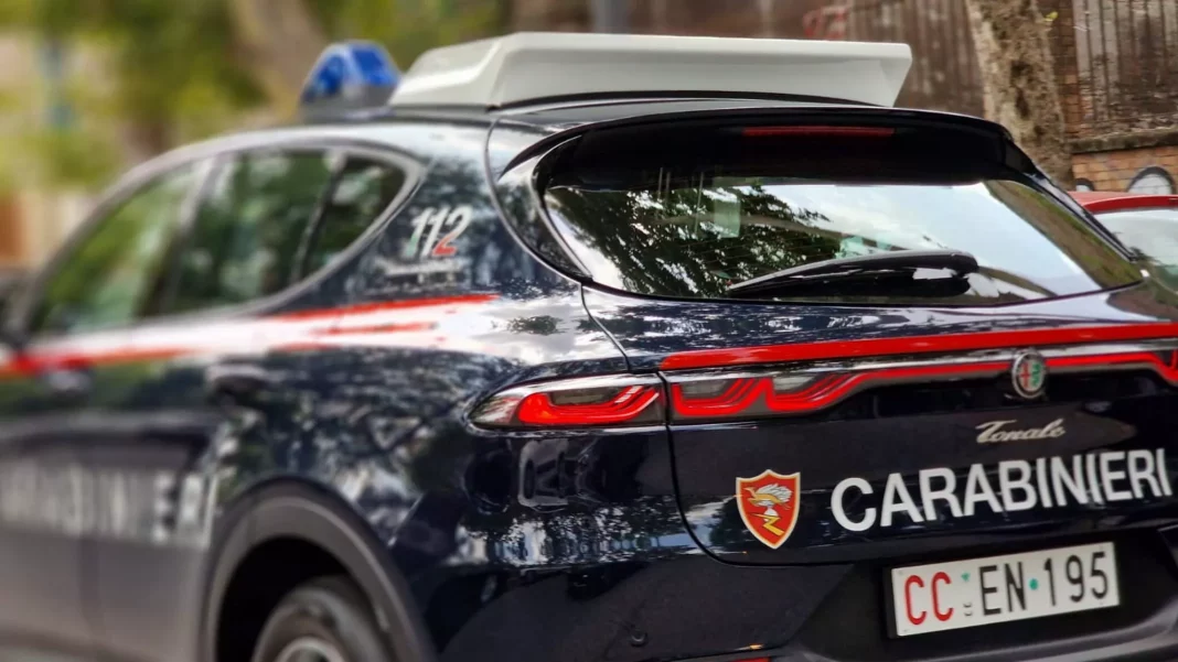 2023 Alfa Romeo Tonale Carabinieri. Imagen portada.