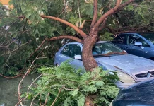 Los peligros de coger el coche en compañía de Herminia