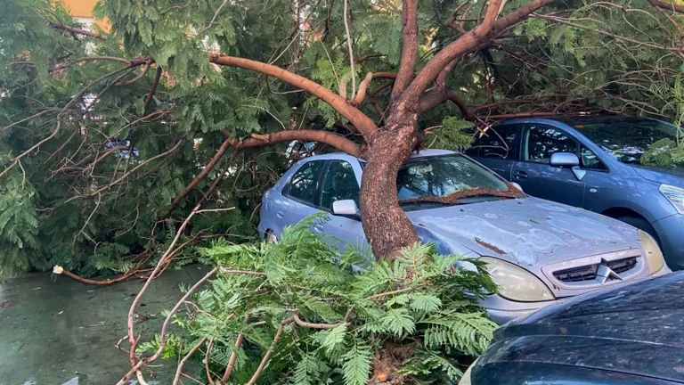 Los peligros de coger el coche en compañía de Herminia