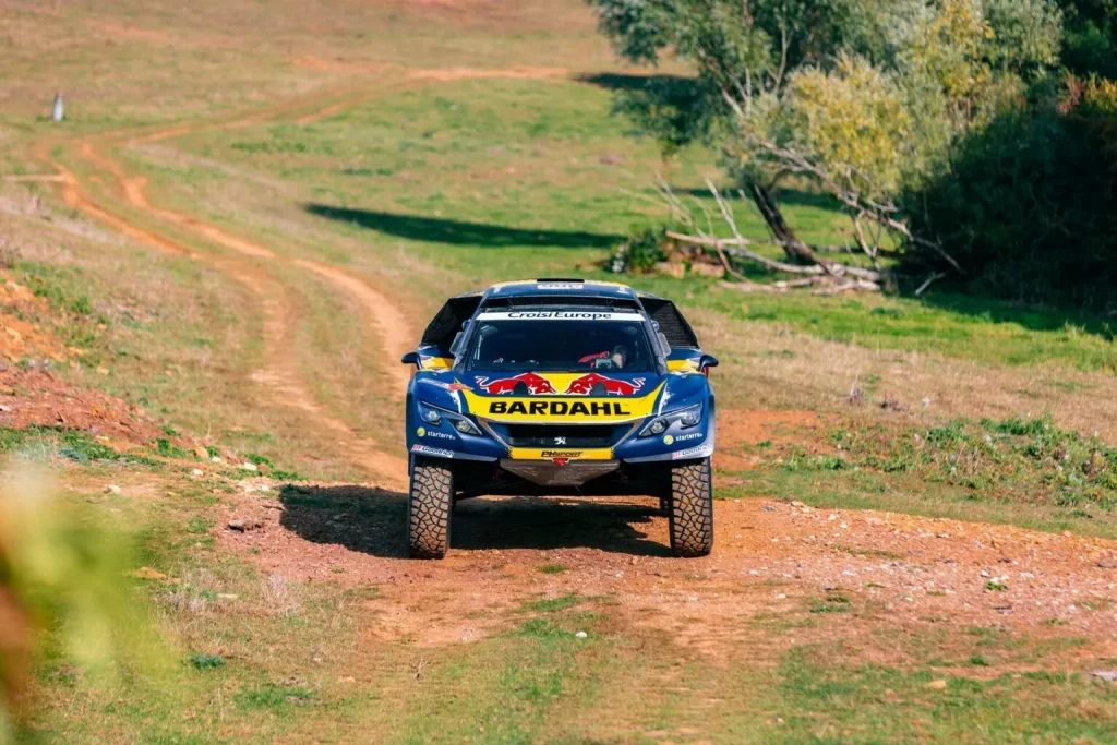 2017 Peugeot 3008 DKR RM 19 Motor16