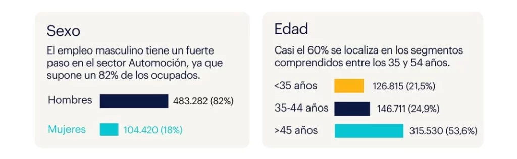 Randstad sector Automocion 2024sexo y edad Motor16