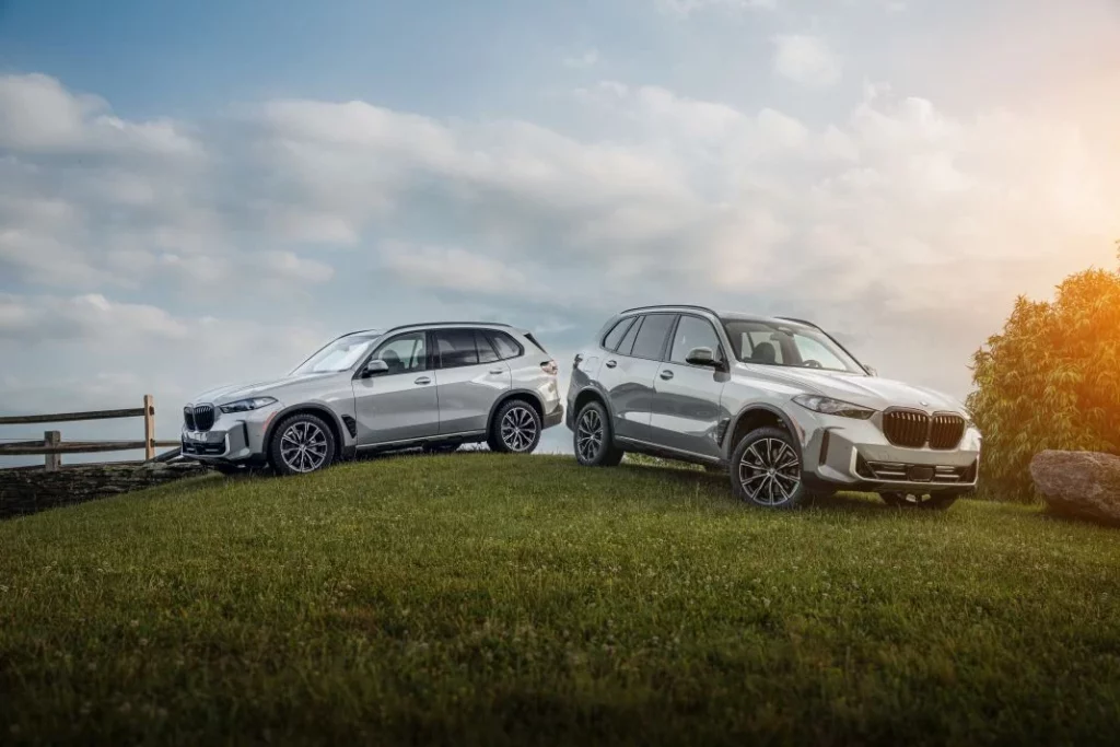 BMW X5 Silver Anniversary Edition (5)