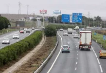 La función que esconden las adelfas que hay plantadas en las autovías españolas