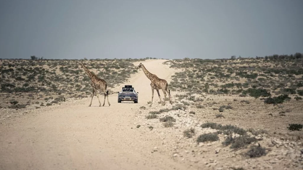 namibia porsche 911 dakar 15 Motor16