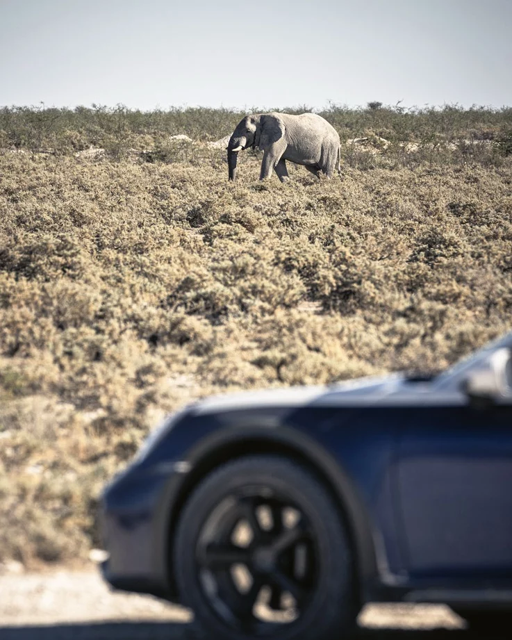 namibia porsche 911 dakar 16 Motor16