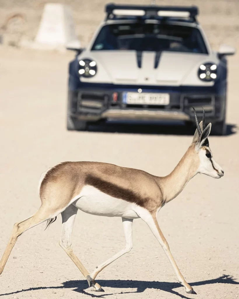 namibia porsche 911 dakar 17 Motor16