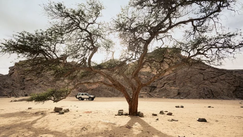 namibia porsche 911 dakar 4 Motor16