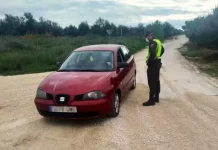 Cuando vas a coger setas y acabas con una multa de 3.000 euros y tu coche en una grúa