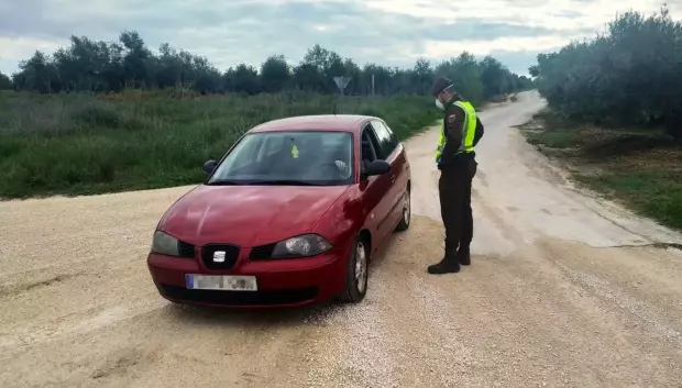 Cuando vas a coger setas y acabas con una multa de 3.000 euros y tu coche en una grúa