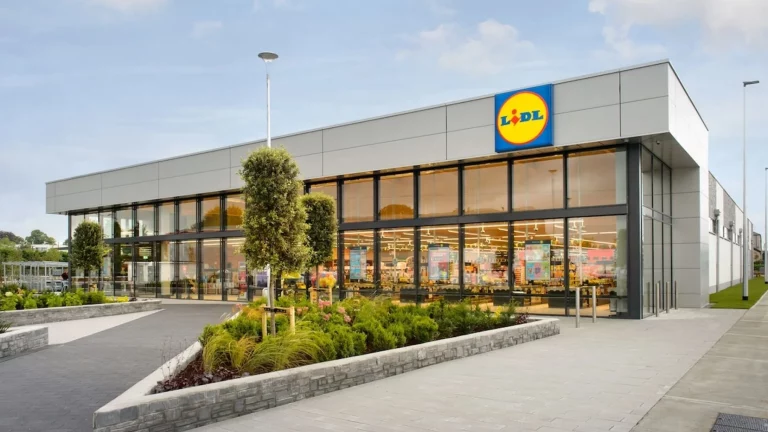 Por 23,99 euros LIDL tiene el accesorio que deja atrás al cargador inalámbrico de tu coche