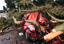 Los trámites que la DGT facilitará a todos los que tienen un coche afectado por la DANA