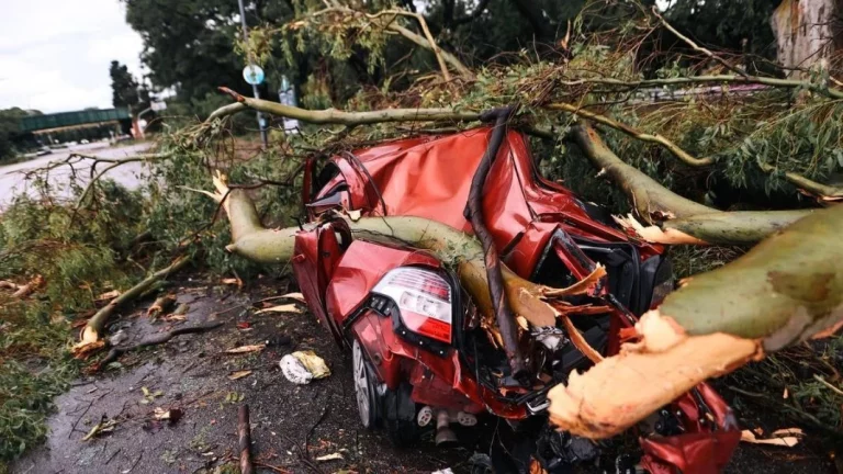 Los trámites que la DGT facilitará a todos los que tienen un coche afectado por la DANA