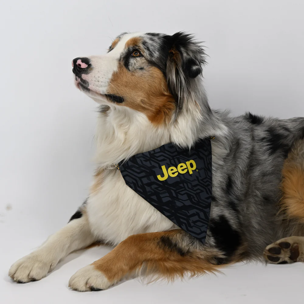 COLLAR DE JEEP PARA MASCOTAS Motor16