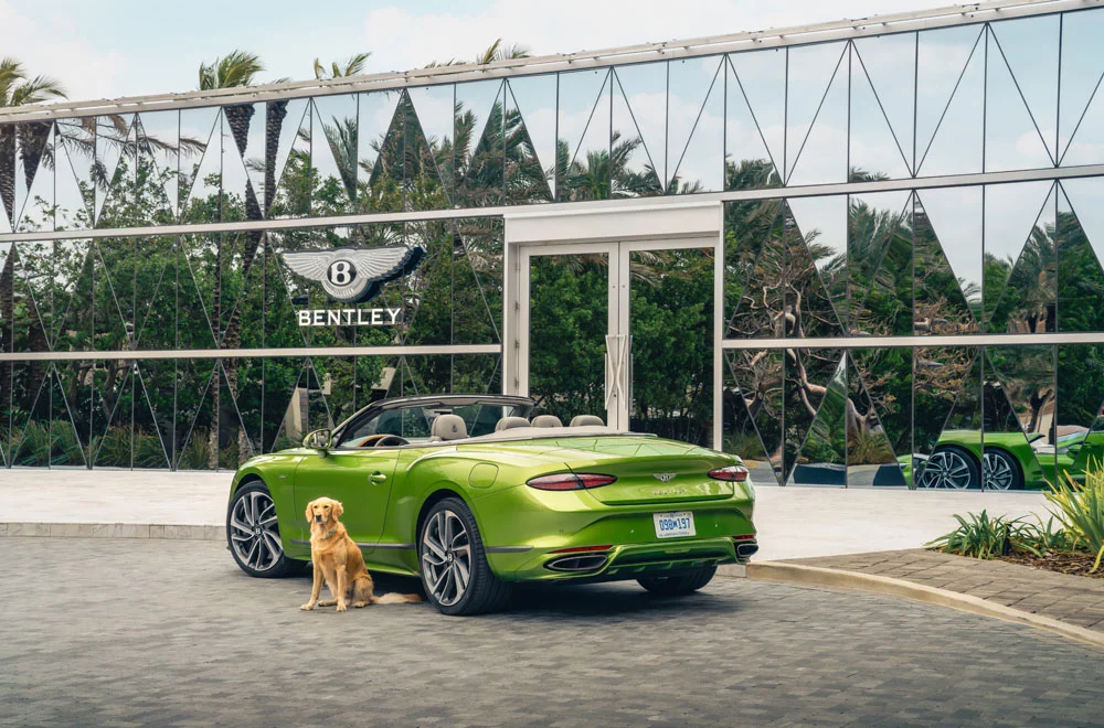 BENTLEY Miami Residences Pet Spa 1 1 Motor16