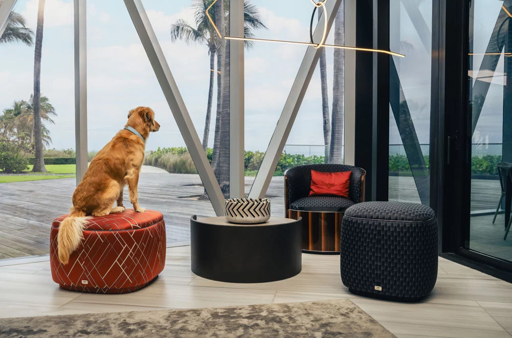 BENTLEY Miami Residences Pet Spa 1 3 Motor16