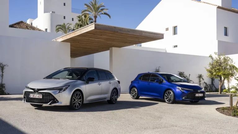 Los 20 coches y las 20 marcas más vendidas en enero