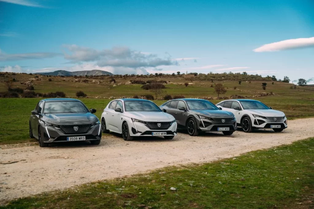 Gama elecrica Peugeot